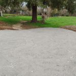 IMG_20240515_181335