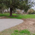 IMG_20240515_181336 (1)