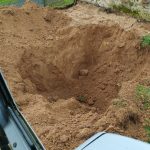 IMG_20240515_181358 (1)