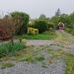 IMG_20240515_181437 (1)
